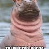 sharap
